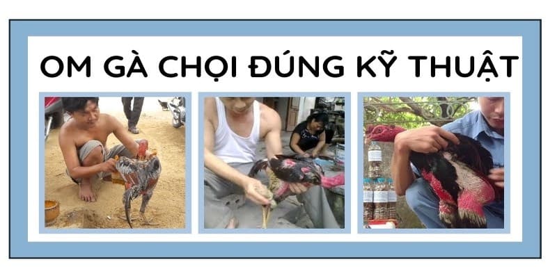 Lưu ý khi om gà đúng cách