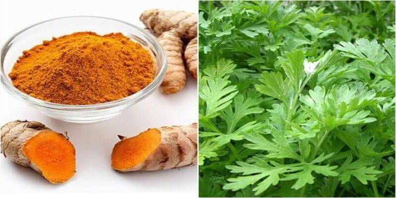 Om gà bằng ngải cứu và nghệ