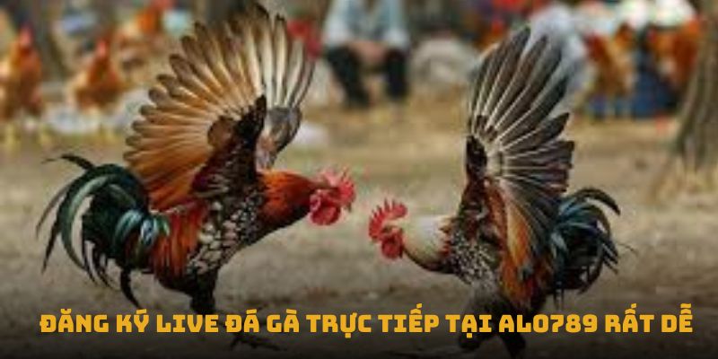 Đăng ký Live đá gà trực tiếp tại Alo789 rất dễ