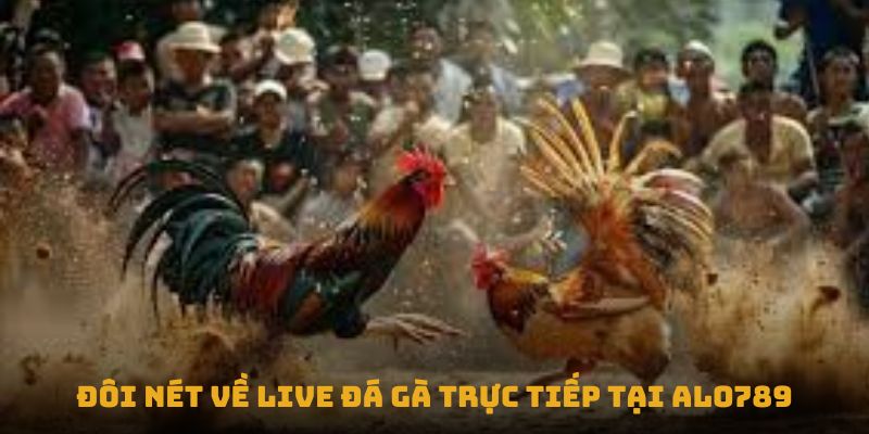 Đôi nét về Live đá gà trực tiếp tại Alo789