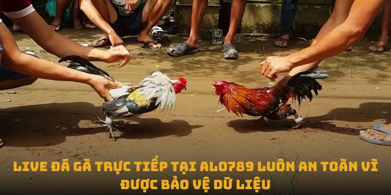 Live đá gà trực tiếp tại Alo789 luôn an toàn vì được bảo vệ dữ liệu